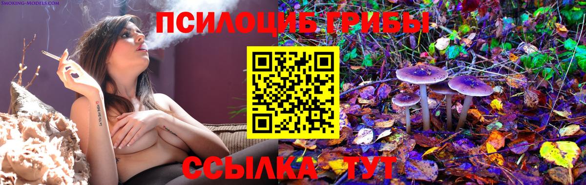 Южно-Сахалинск  Псилоцибиновые грибы Psilocybe  Вход с VPN 